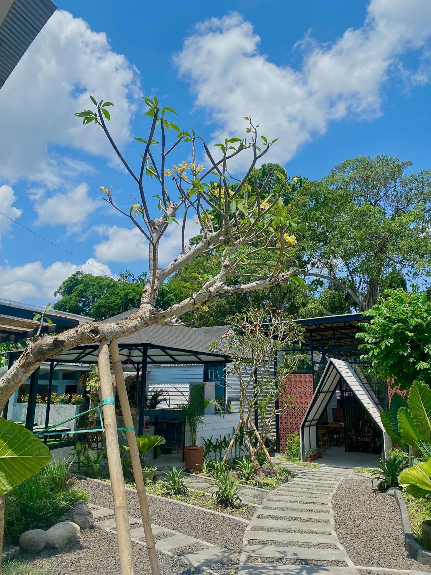 The Jungle Hostel Canggu المظهر الخارجي الصورة