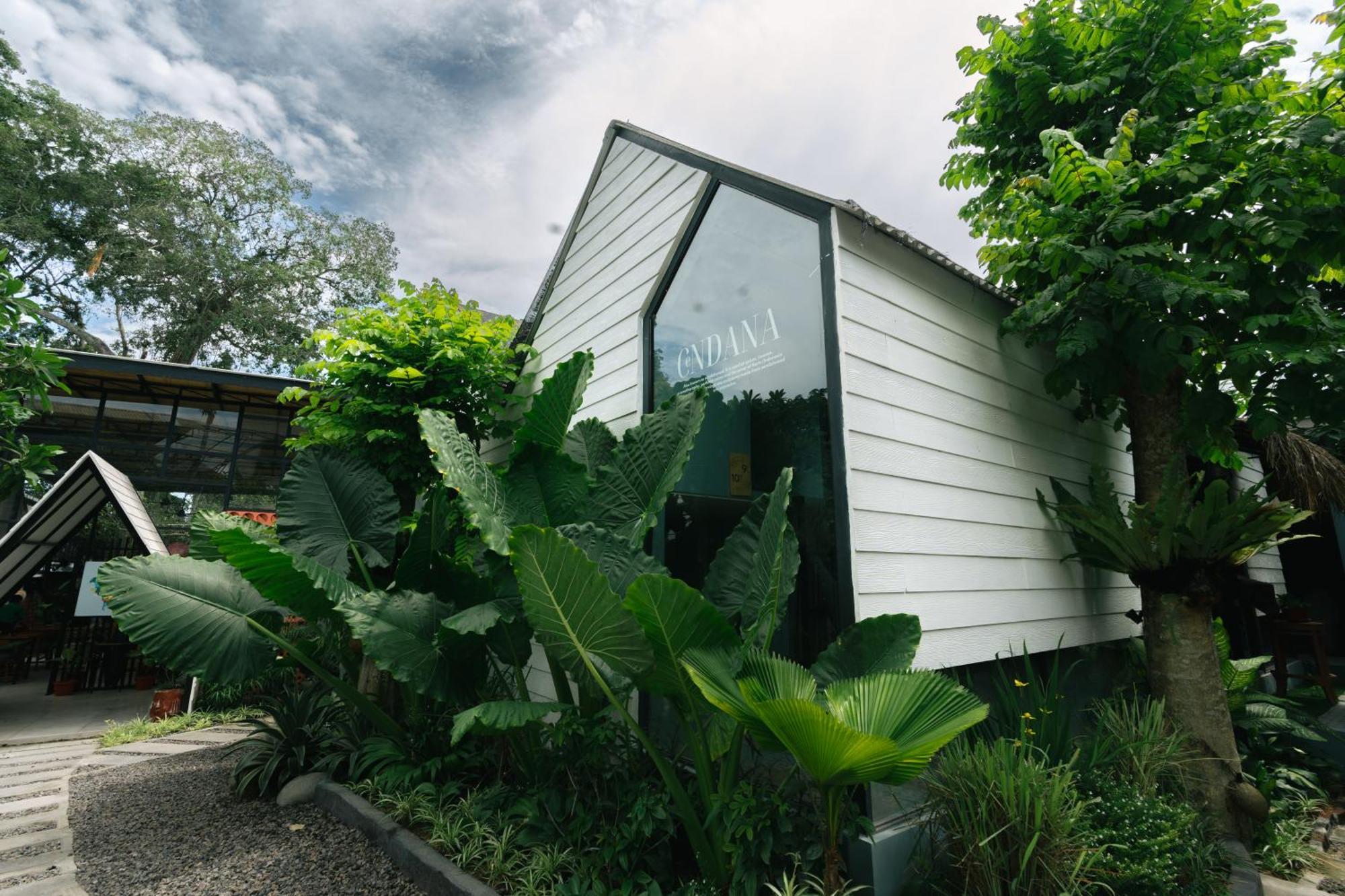 The Jungle Hostel Canggu المظهر الخارجي الصورة
