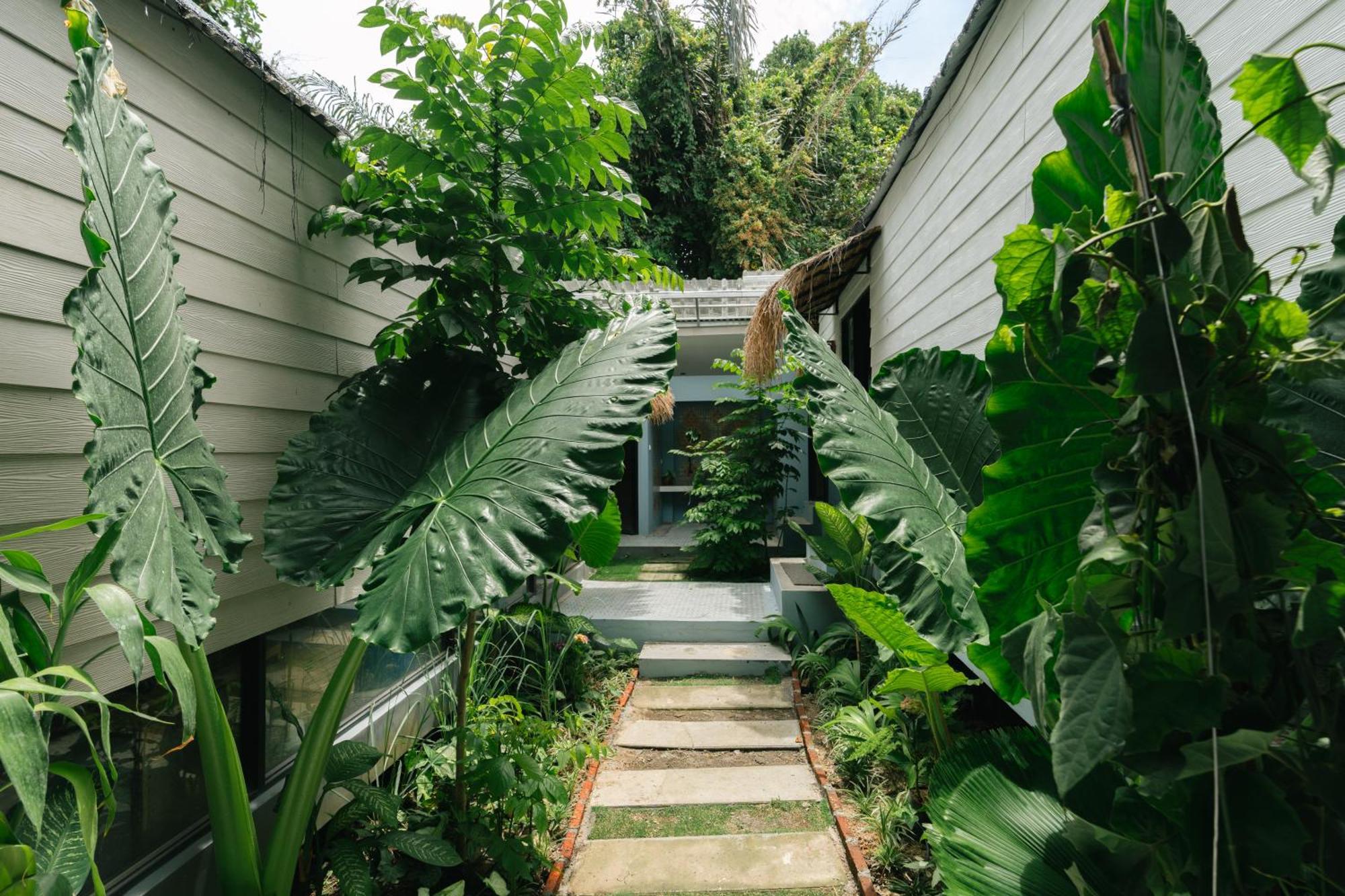 The Jungle Hostel Canggu المظهر الخارجي الصورة