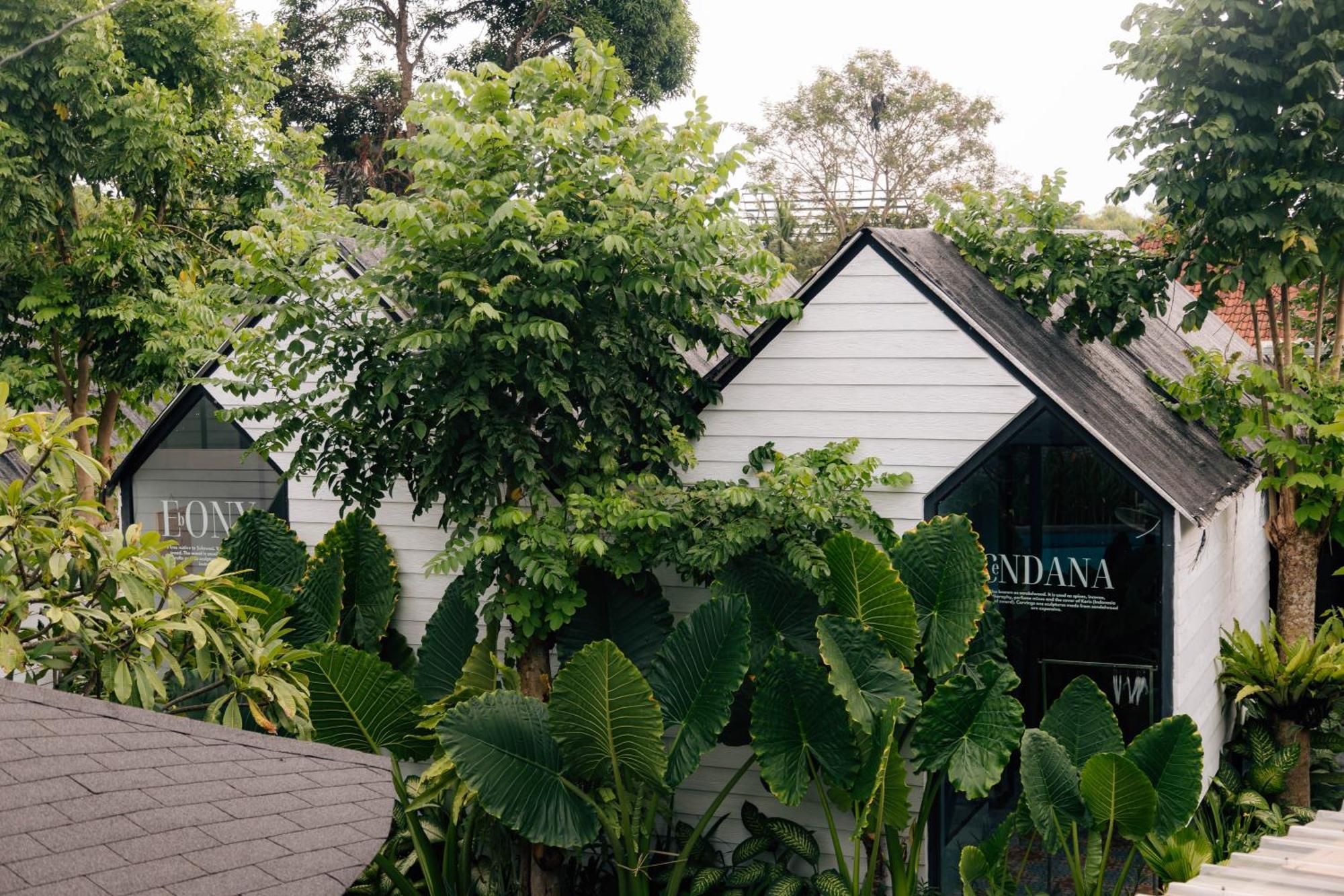 The Jungle Hostel Canggu المظهر الخارجي الصورة