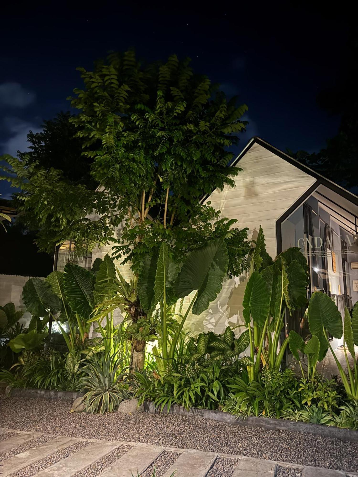 The Jungle Hostel Canggu المظهر الخارجي الصورة